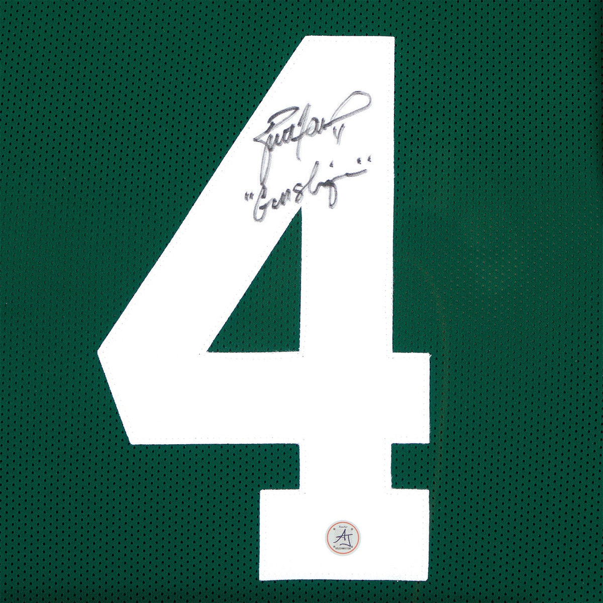 Brett Favre Autographed Green Bay Packers Team Logo 36x44 Jersey Frame product image 2, provided for visual reference and