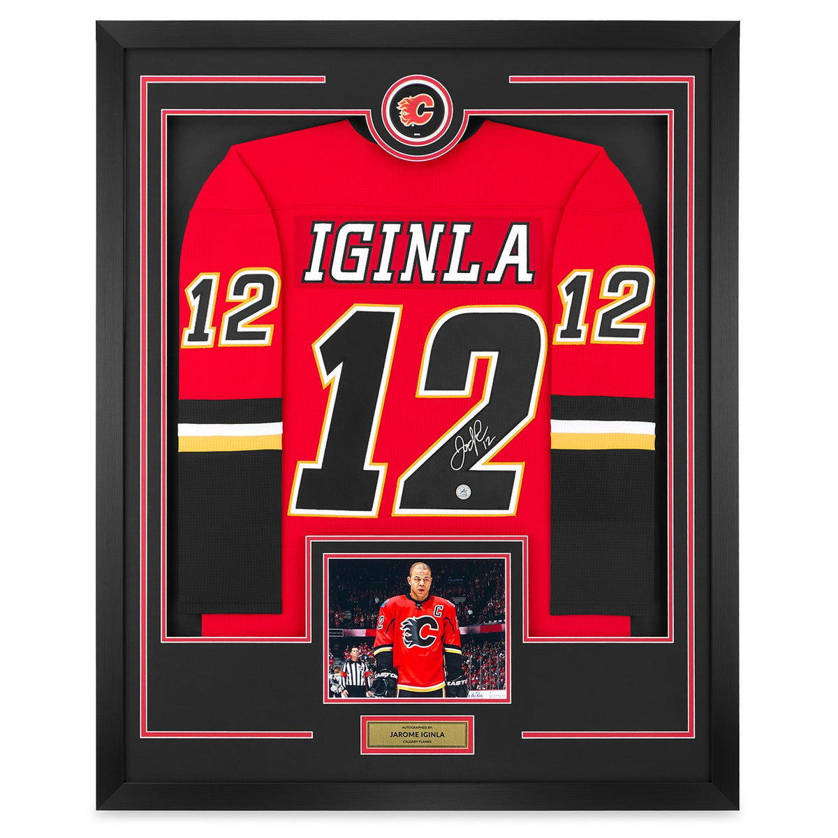 Jarome Iginla Autographed Calgary Flames Puck Logo 36x44 Jersey Frame product image 1, provided for visual reference and