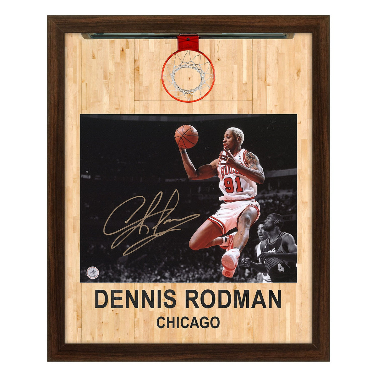 Dennis Rodman Signed Chicago Bulls Aerial Hoop Graphic 19x23 Frame product image 1, provided for visual reference and