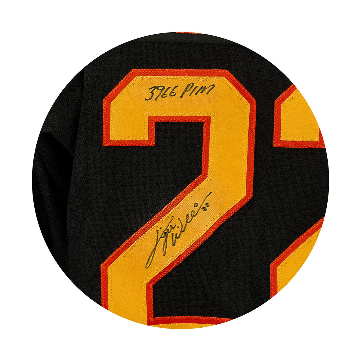 Tiger Williams Signed & Inscribed Vancouver Canucks Flying V Vintage CCM Jersey product image 3, provided for visual