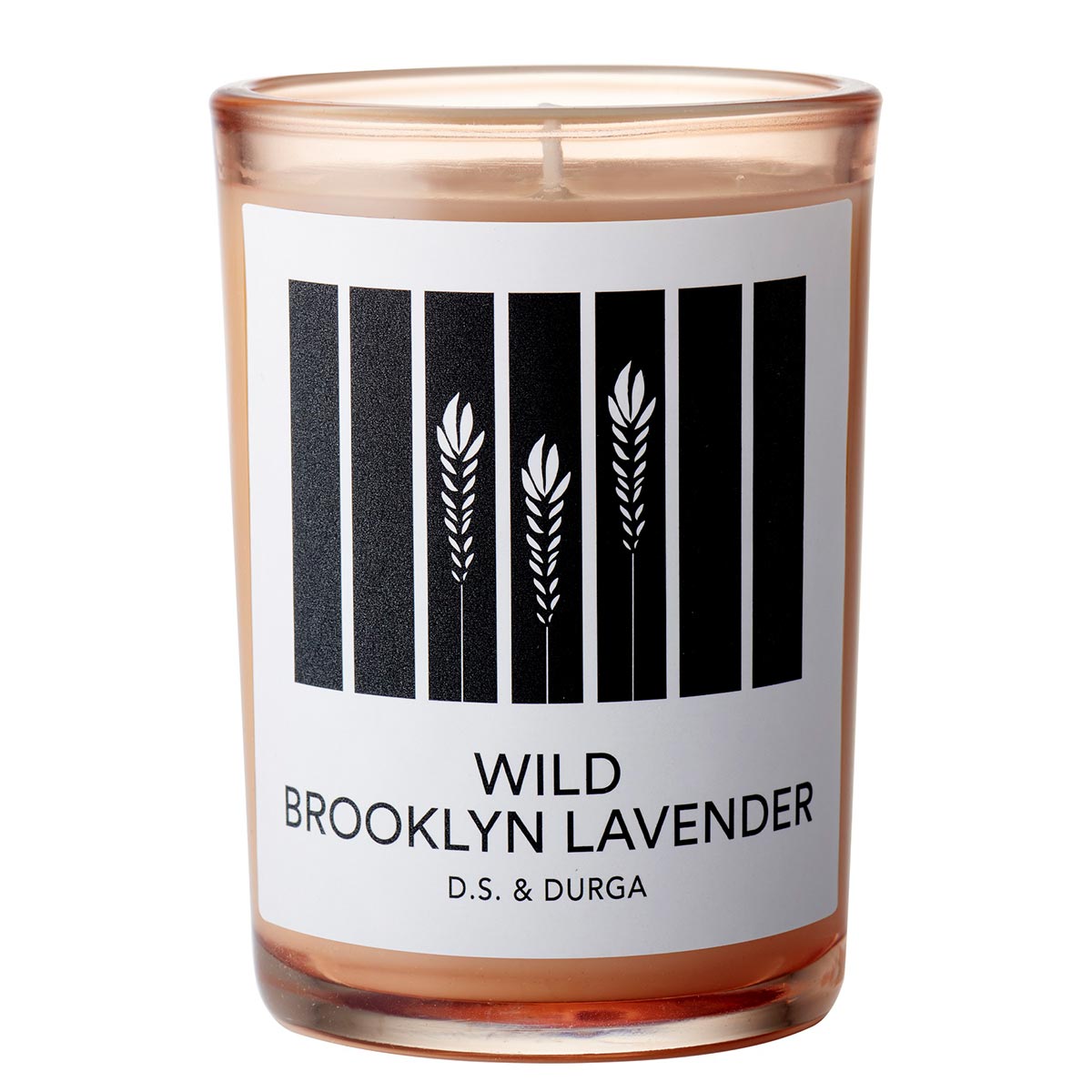 Wild Brooklyn Lavender