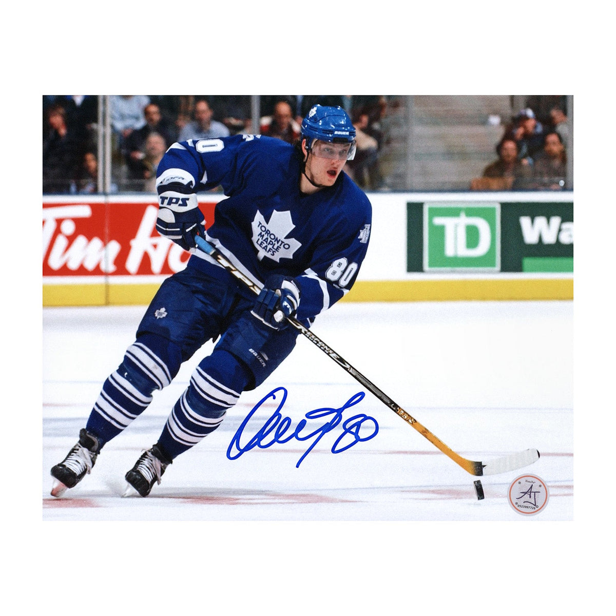 Nik Antropov Autographed Toronto Maple Leafs Game Action 8x10 Photo product image 1, provided for visual reference and
