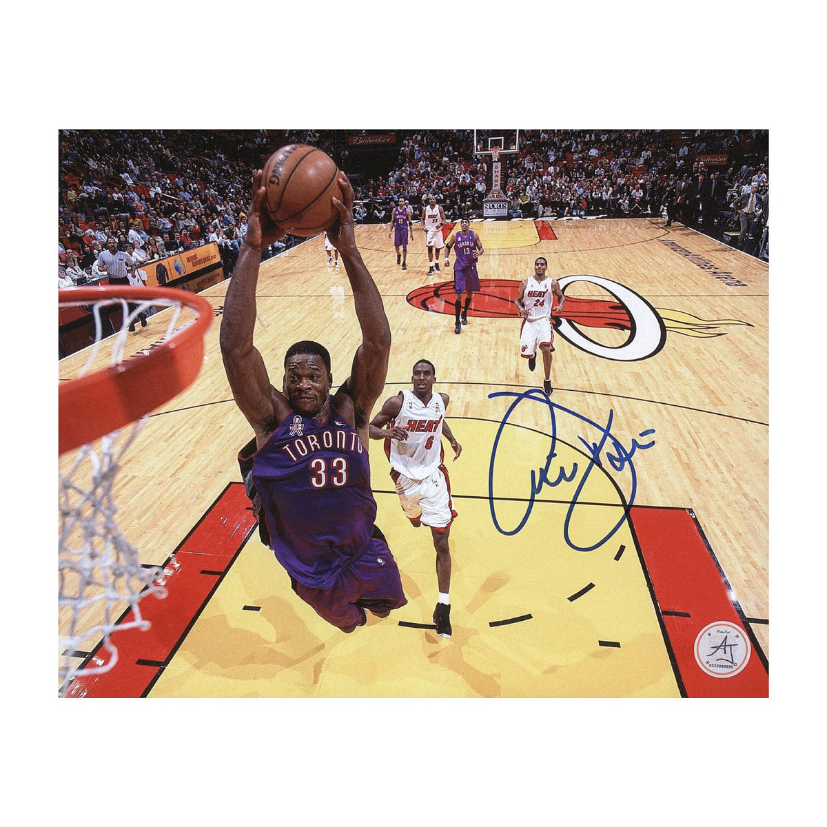 Antonio Davis Signed Toronto Raptors Net Cam 8x10 Photo product image 1, provided for visual reference and product detail