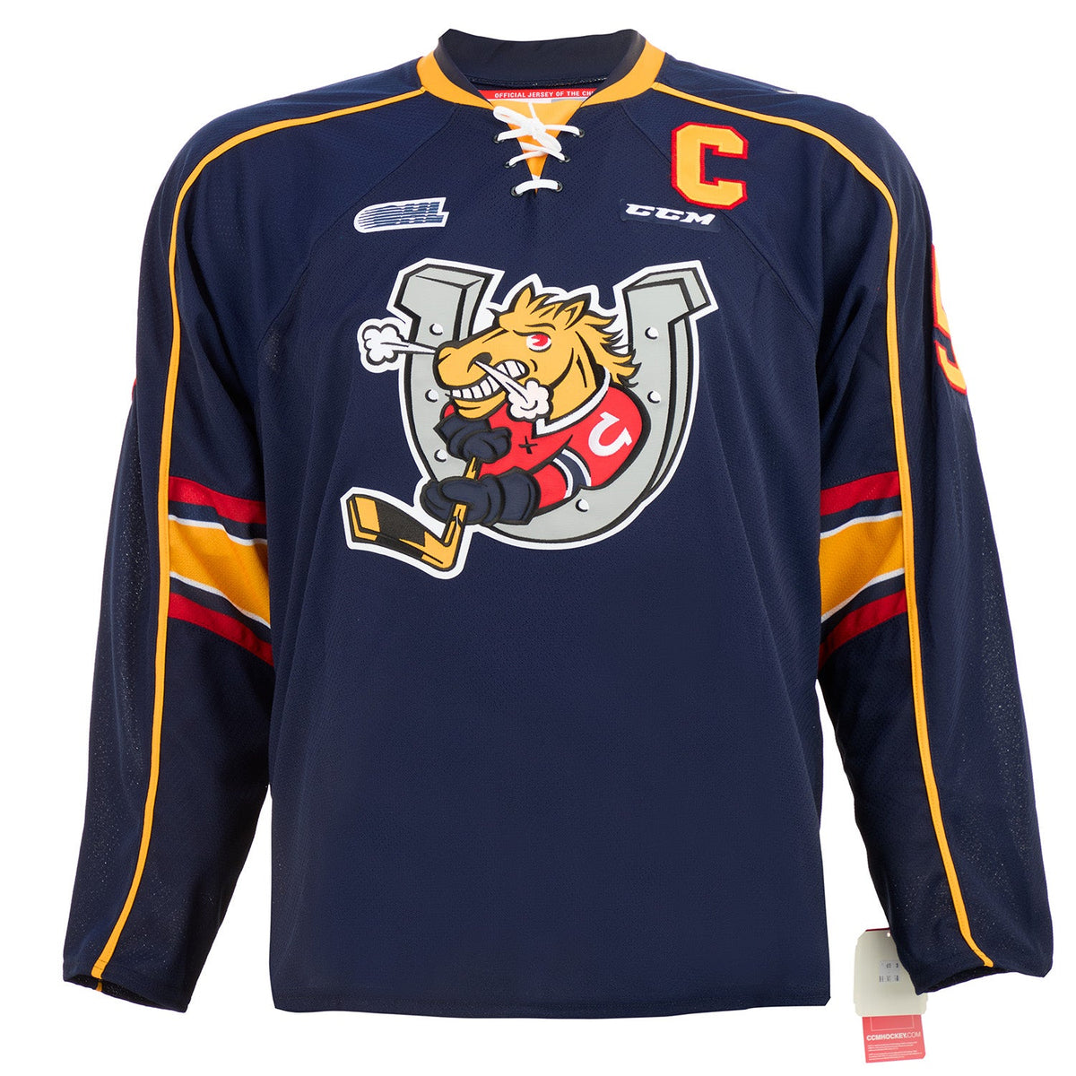 Aaron Ekblad Barrie Colts Autographed CHL Hockey Jersey product image 2, provided for visual reference and product detail