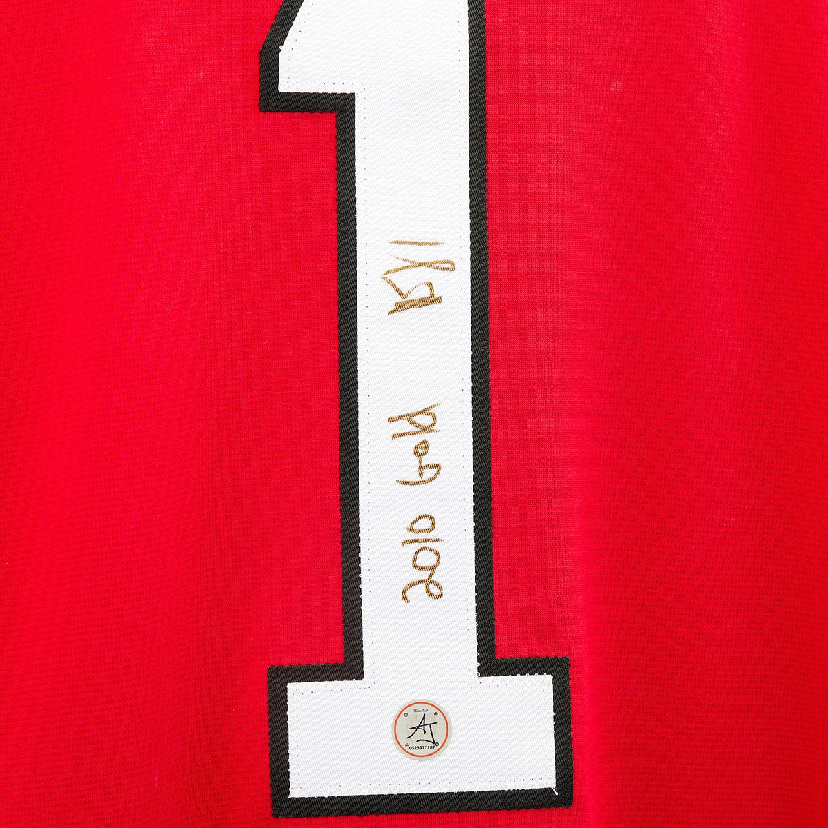 Roberto Luongo Team Canada Signed & Inscribed 2010 Olympic Gold Nike Jersey product image 3, provided for visual reference