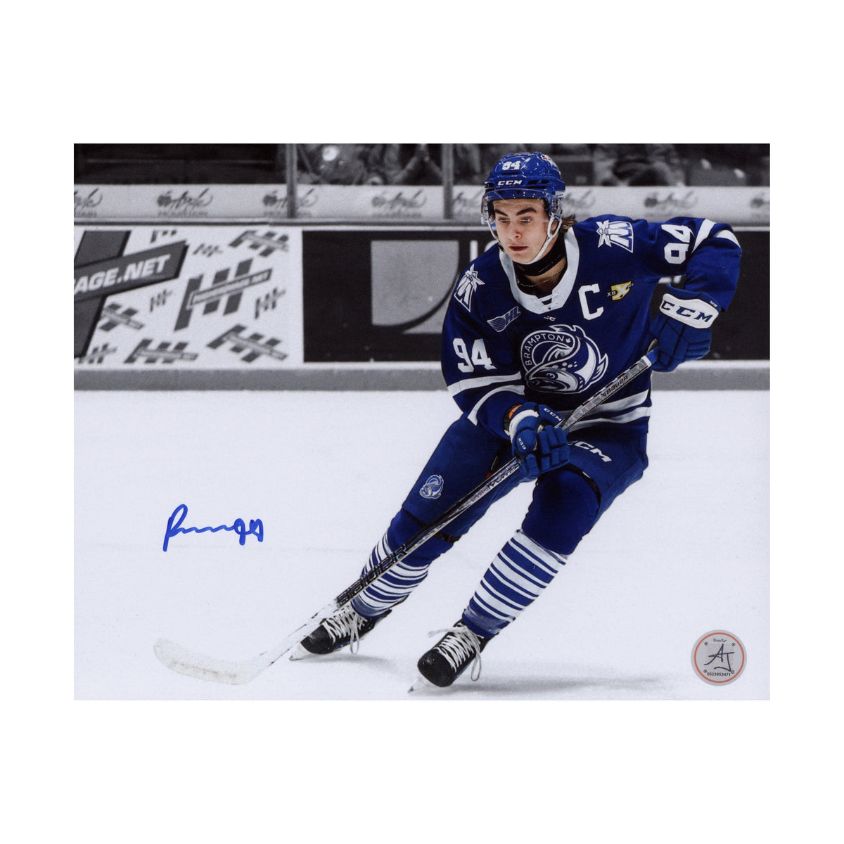 Porter Martone Signed Brampton Steelheads Color Isolation 8x10 Photo product image 1, provided for visual reference and