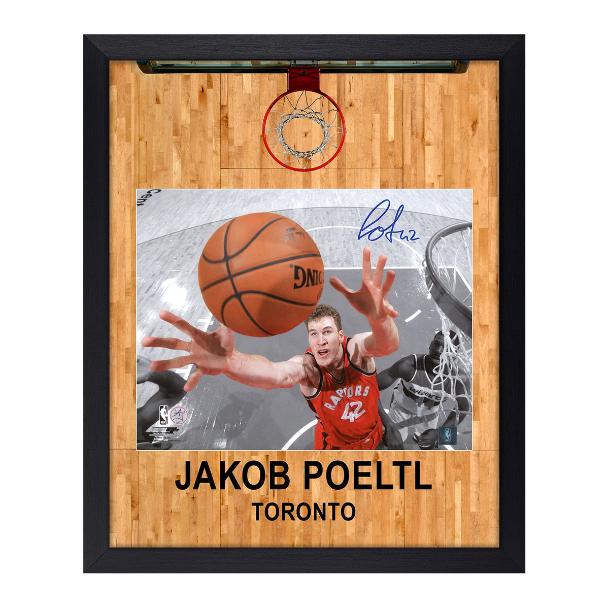 Jakob Poeltl Signed Toronto Raptors Aerial Hoop Graphic 18x22 Frame product image 1, provided for visual reference and
