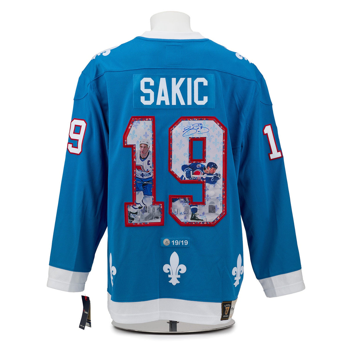 Joe Sakic Signed Quebec Nordiques Winter Fleurs-De-Lis Art Jersey #19/19 product image 1, provided for visual reference and
