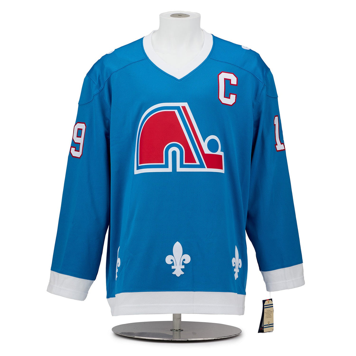 Joe Sakic Signed Quebec Nordiques Winter Fleurs-De-Lis Art Jersey #19/19 product image 2, provided for visual reference and
