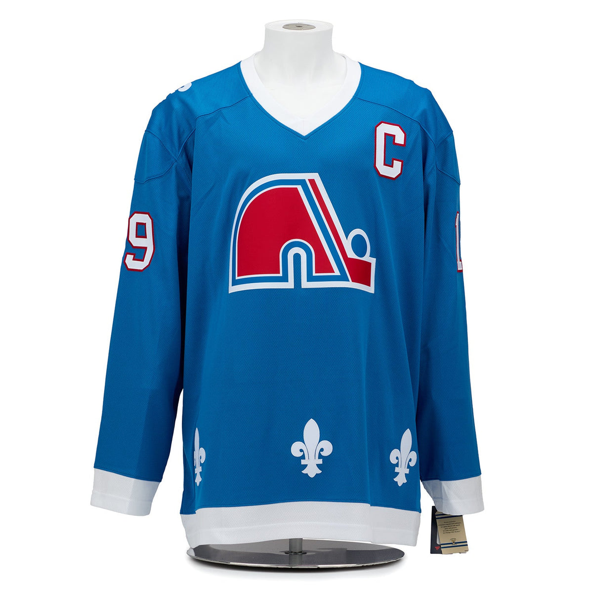 Joe Sakic Signed Quebec Nordiques Winter Fleurs-De-Lis Art Jersey #11/19 product image 2, provided for visual reference and