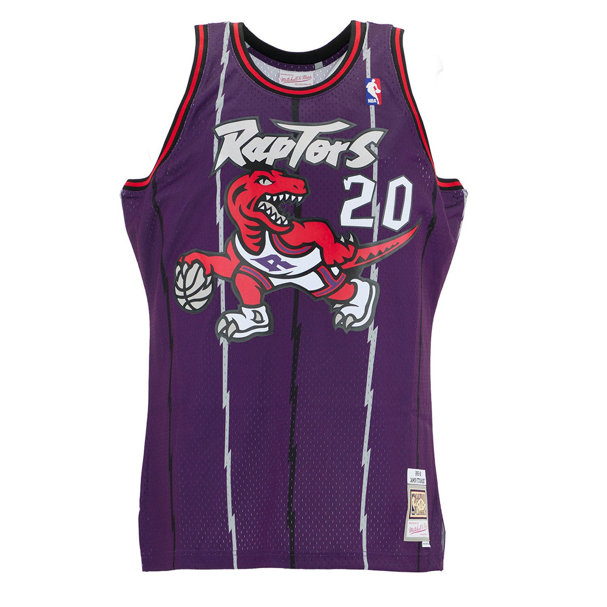 Damon Stoudamire Signed Toronto Raptors Mitchell & Ness Throwback Jersey product image 2, provided for visual reference and