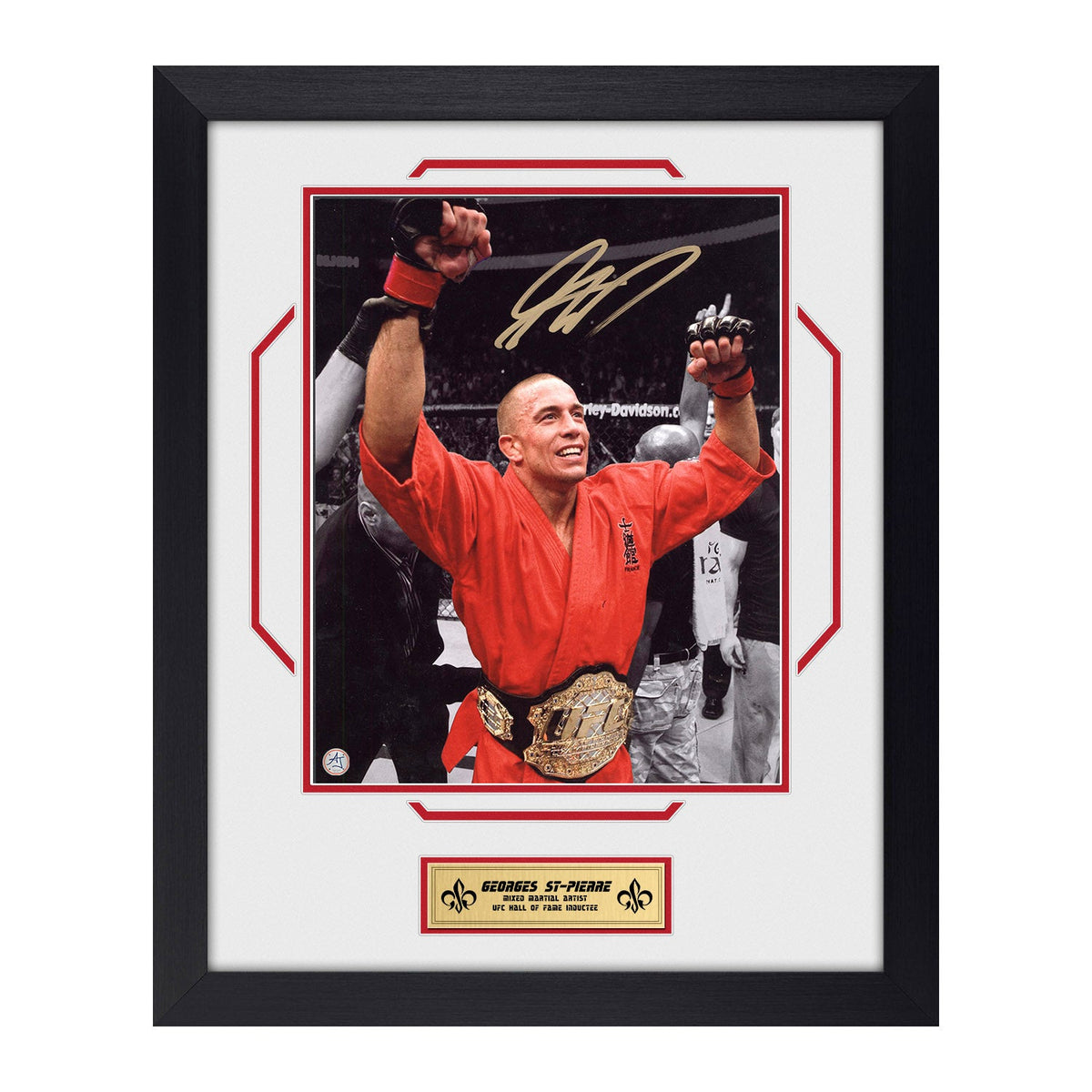 Georges St-Pierre Autographed MMA Championship Belt Octagon 18x22 Frame product image 1, provided for visual reference and