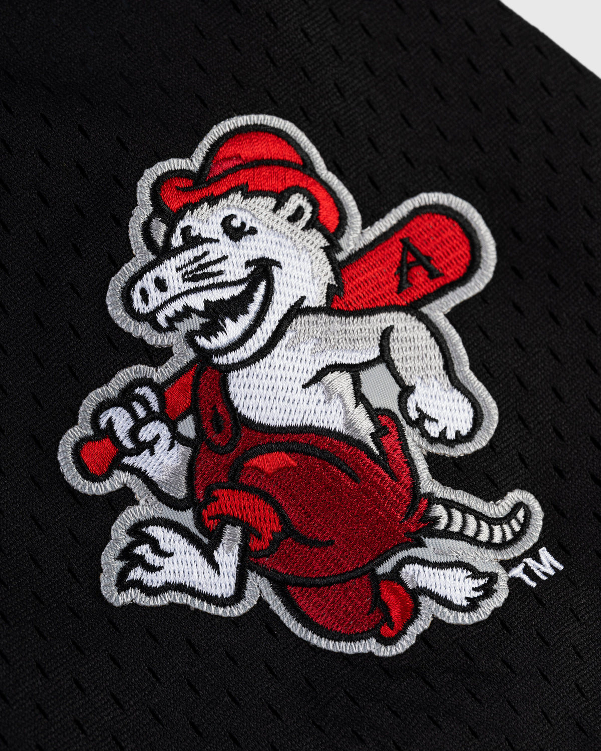 Julio Rodríguez Arkansas Travelers Mesh Button-Up Jersey product image 4, provided for visual reference and product detail