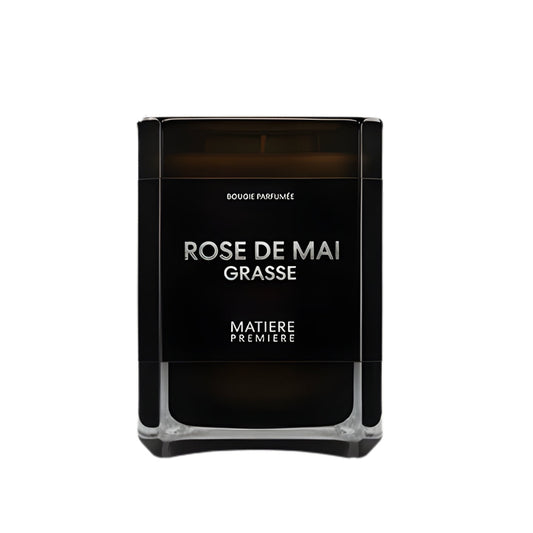 Rose de Mai Grasse